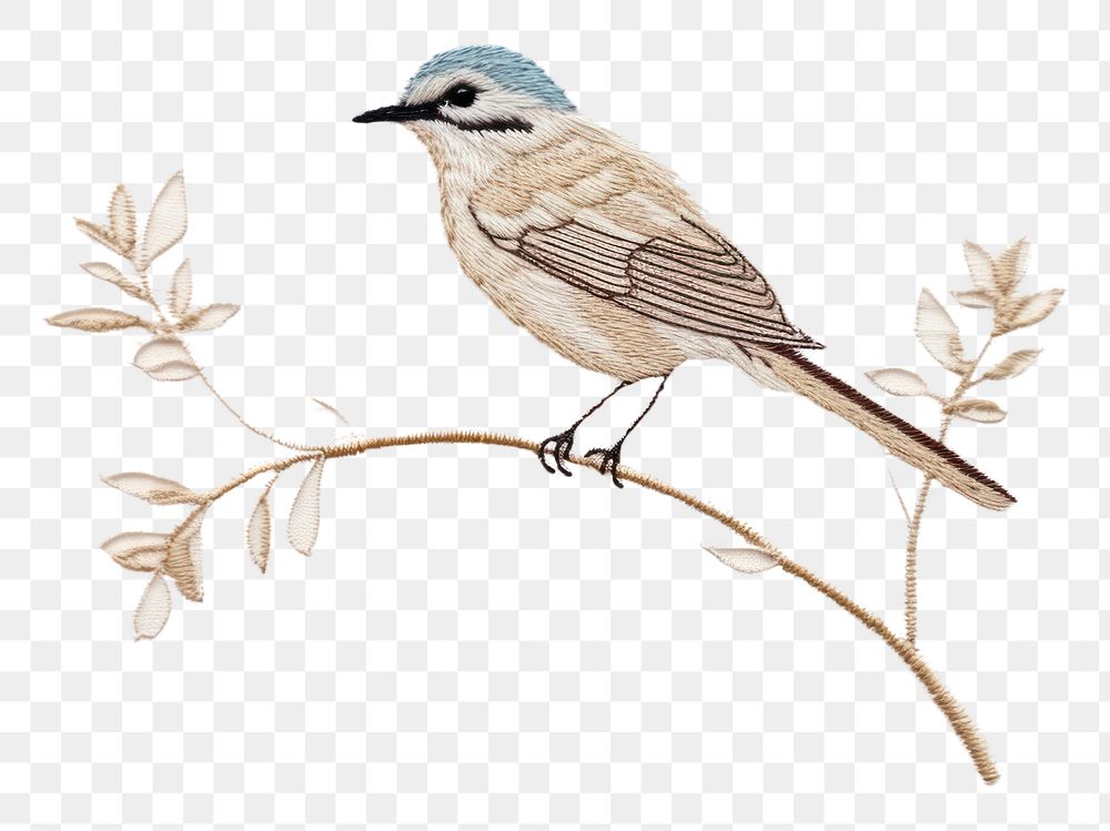 PNG A bird in embroidery style sparrow drawing animal.