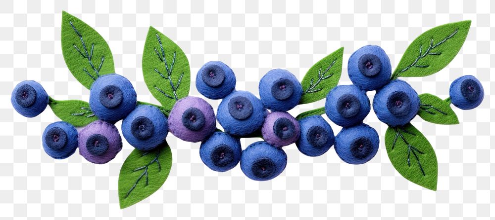 PNG Blueberry fruit plant food.
