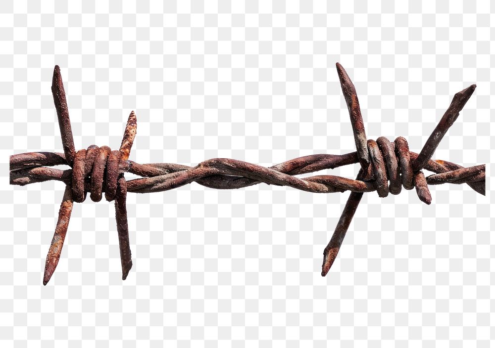 PNG Barbed wire white background barbed wire forbidden.
