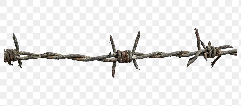 PNG New Barbed wire white background barbed wire security.