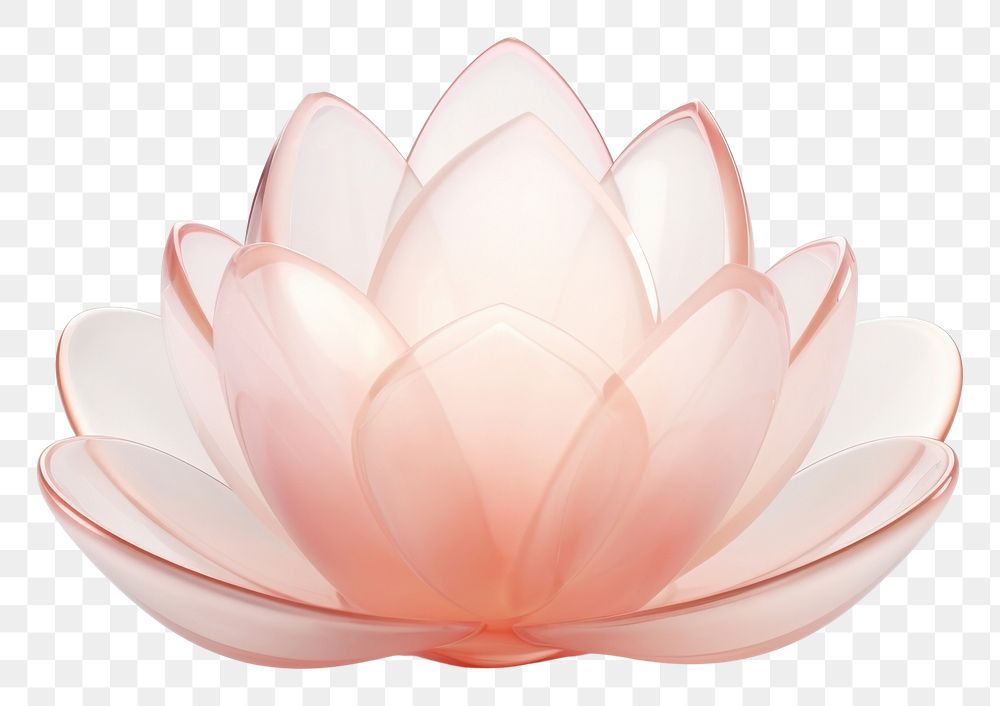 PNG Lotus flower petal simplicity fragility.