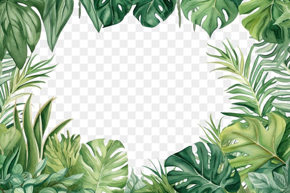 PNG Watercolor illustration of tropical leaves border outdoors nature forest.