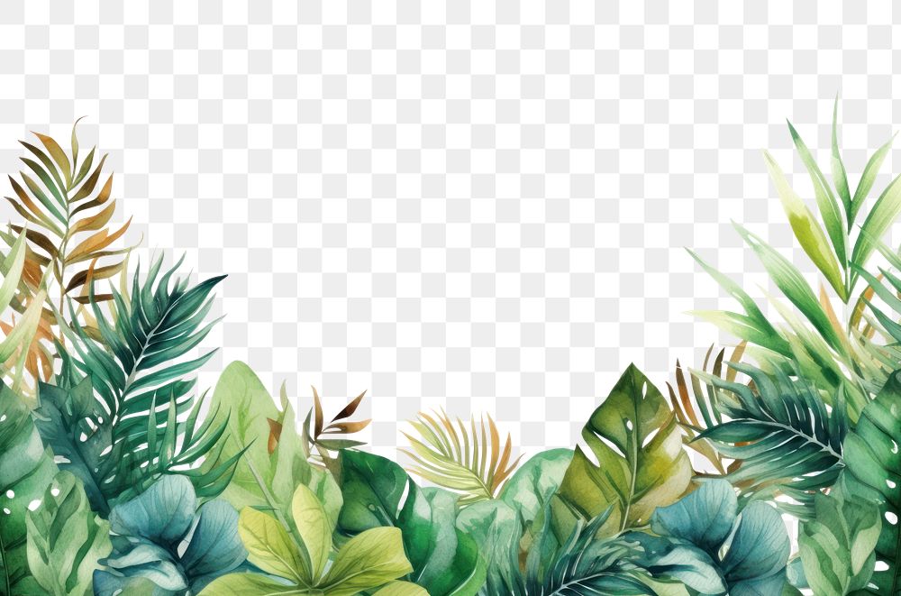 PNG Watercolor illustration of tropical leaves border outdoors pattern nature.