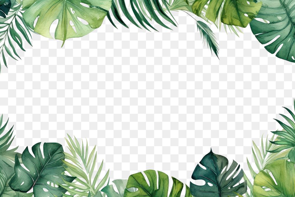 PNG Watercolor illustration of tropical leaves border outdoors nature plant.