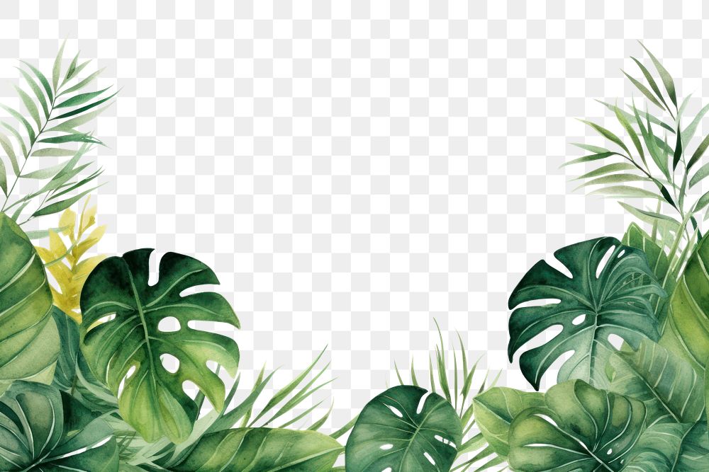 PNG Watercolor illustration of tropical leaves border outdoors tropics nature
