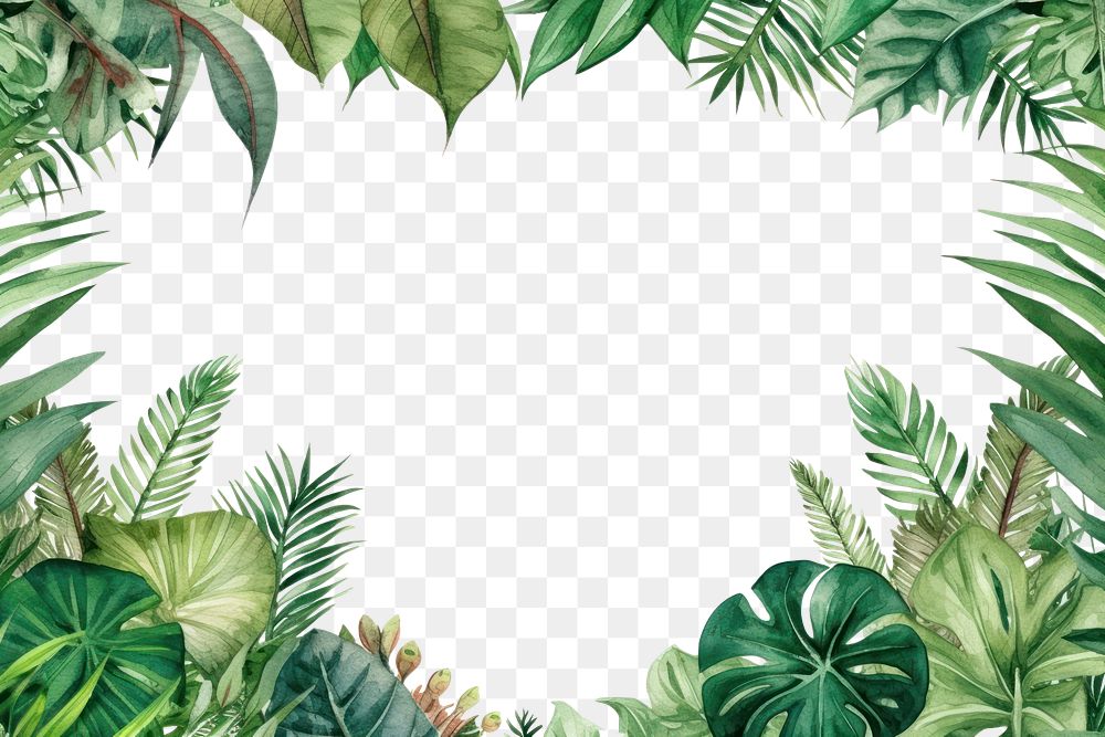 PNG Watercolor illustration of tropical leaves border outdoors nature plant.