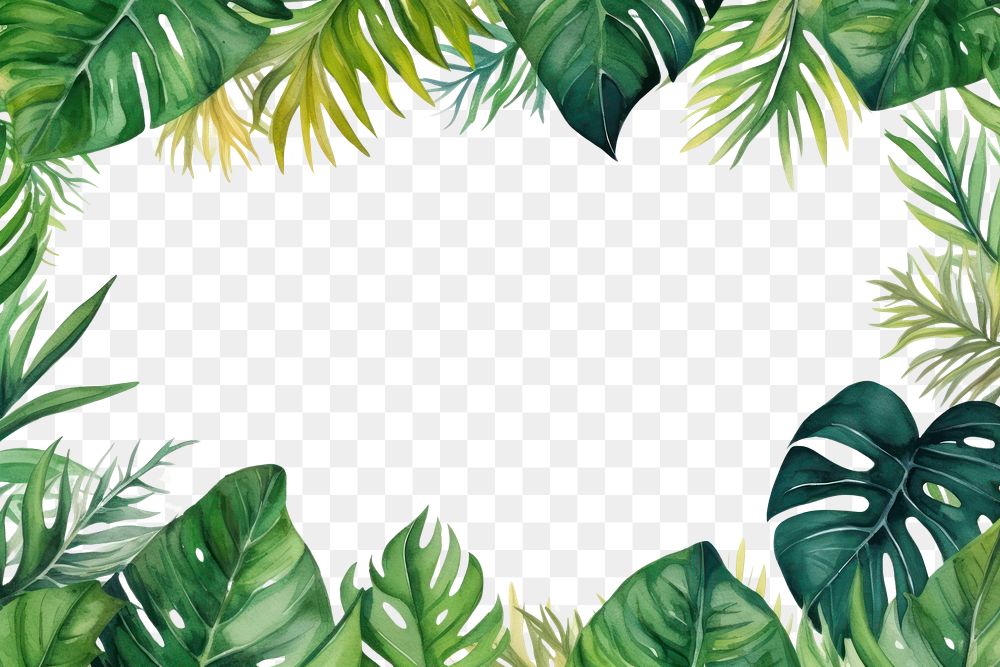 PNG Watercolor illustration of tropical leaves border outdoors tropics nature.