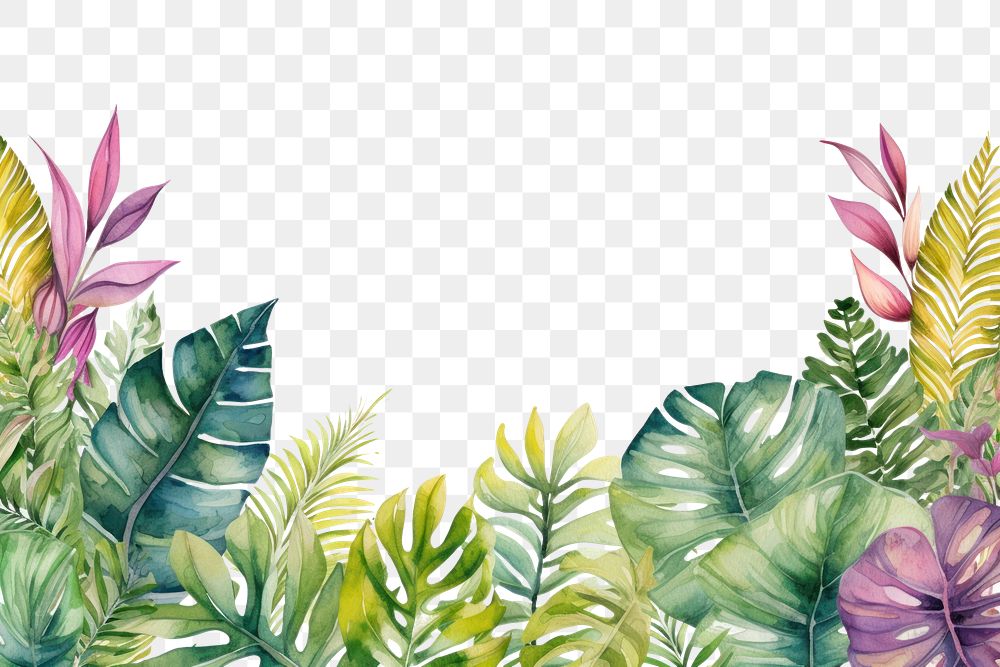 PNG Watercolor illustration of tropical leaves border outdoors pattern nature.