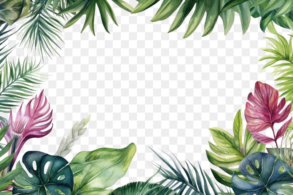 PNG Watercolor illustration of tropical leaves border outdoors tropics pattern.