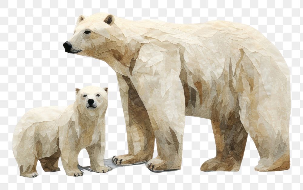 PNG Embroidery with a family polar bear wildlife animal mammal.