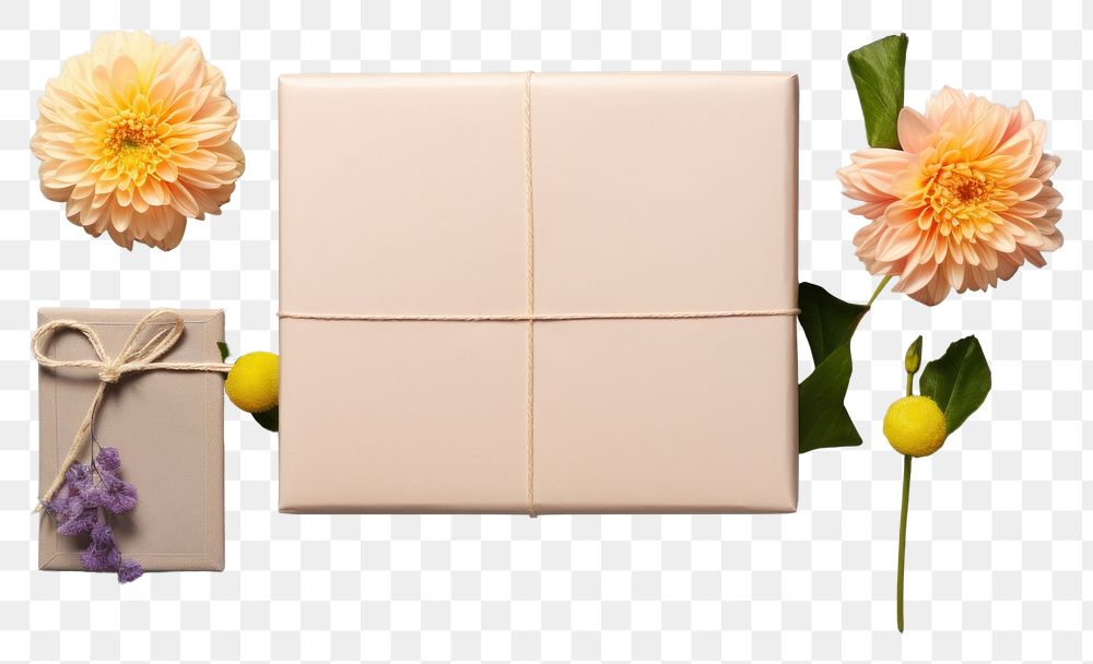 PNG  Mailing box packaging mockup flower plant gift.