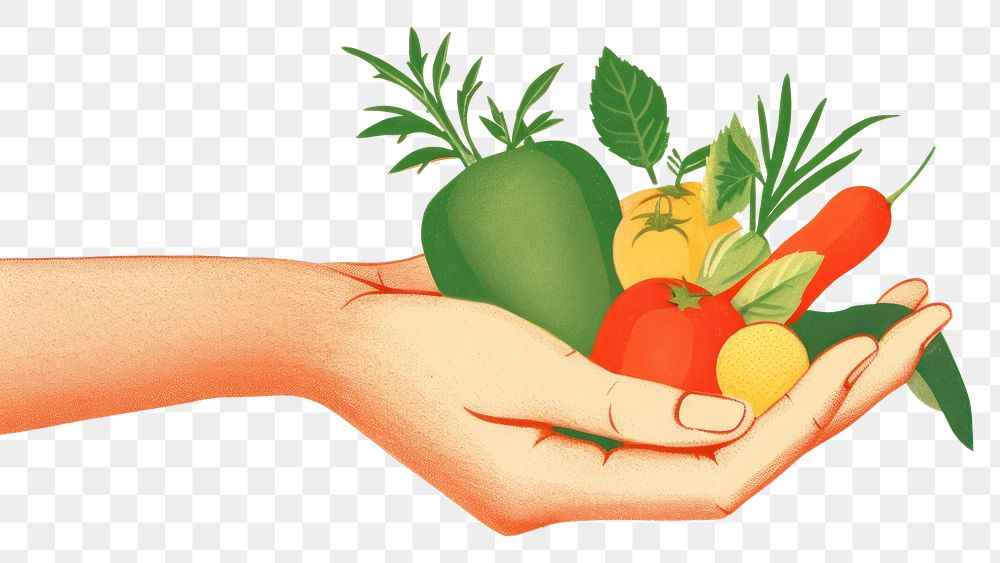 PNG Vegetable holding radish fruit.