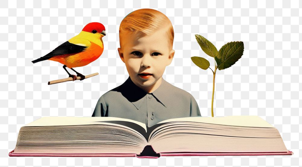 PNG Collage of a book bird publication creativity.
