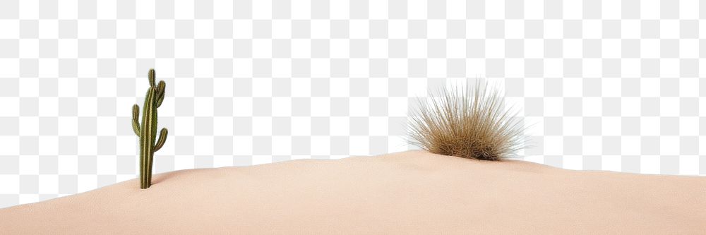 PNG  Dune and cactus sky landscape outdoors. AI generated Image by rawpixel.