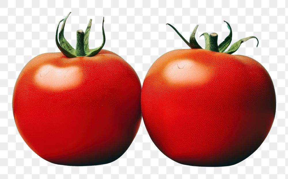 PNG  Two red tomato sitting on the table vegetable plant food. AI generated Image by rawpixel.