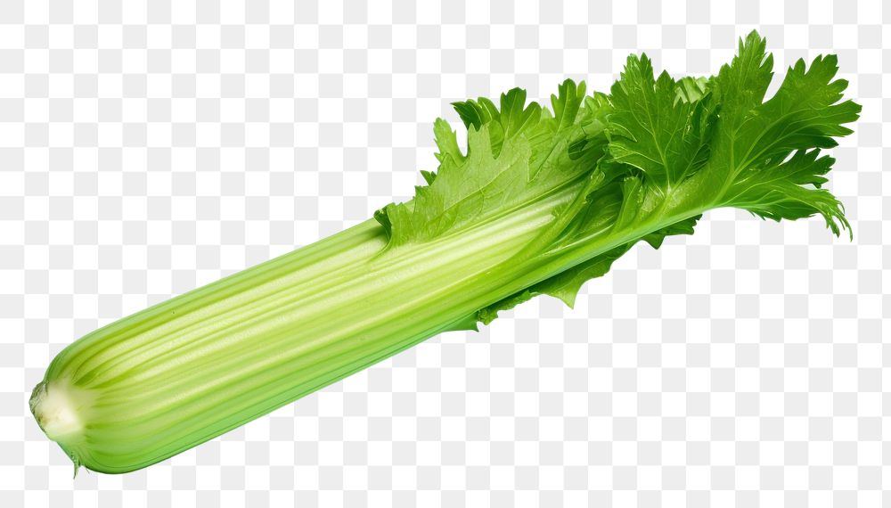 PNG Celery vegetable plant food.