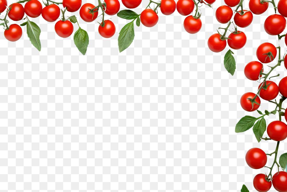 PNG Cherry tomato frame border backgrounds vegetable fruit.