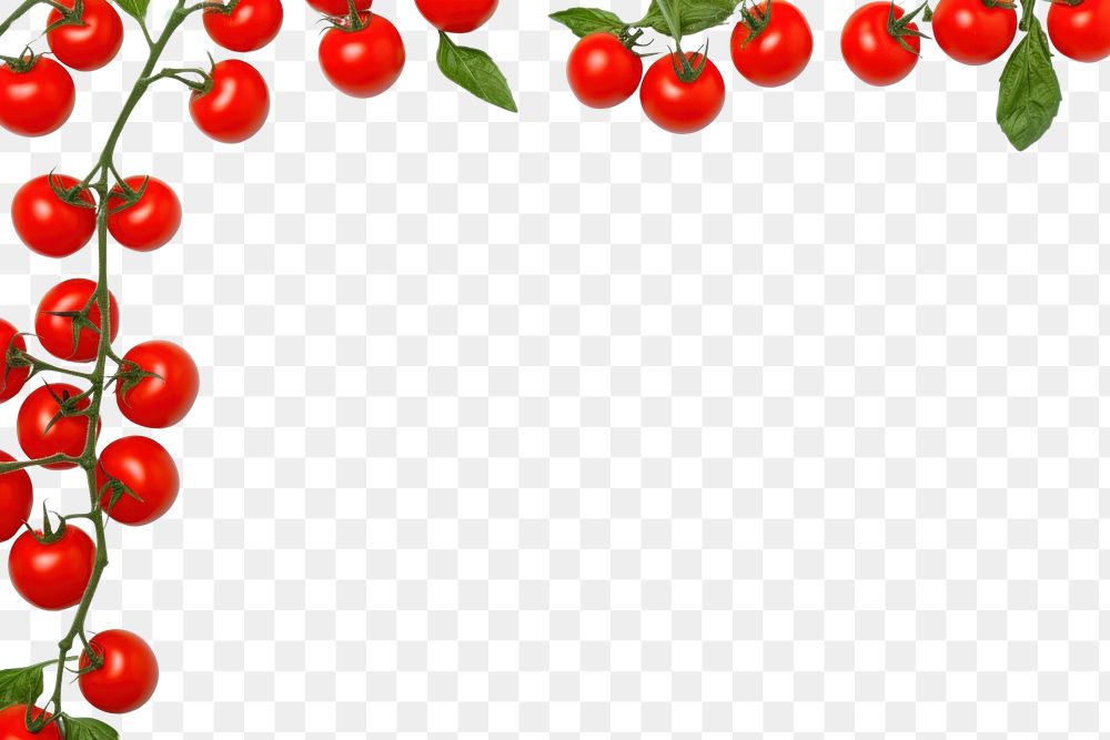PNG Cherry tomato frame border backgrounds fruit plant.