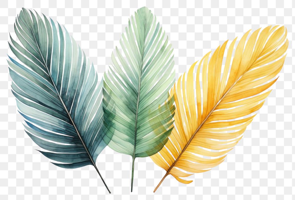 PNG  Sketch plant leaf art.
