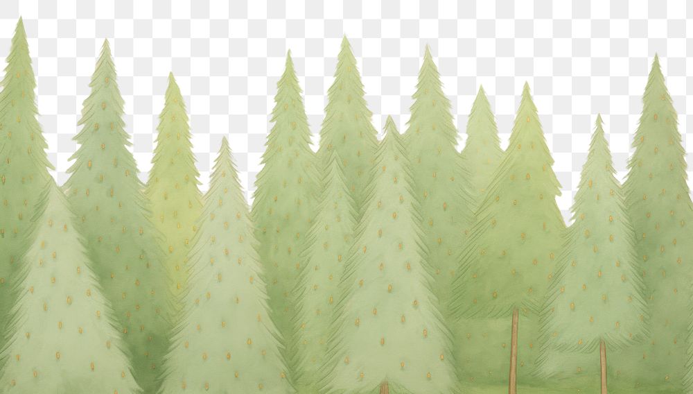 PNG  Pine tree background backgrounds plant tranquility. AI generated Image by rawpixel.