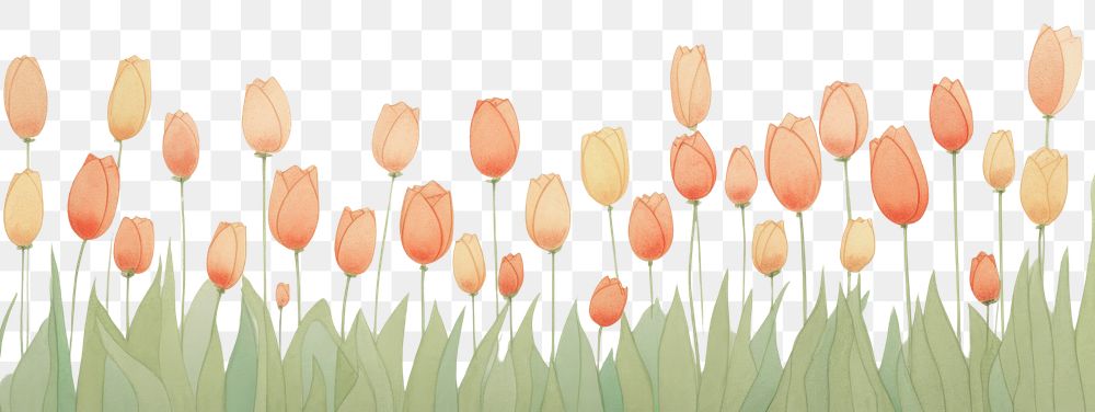 PNG  Tulip background backgrounds painting flower. AI generated Image by rawpixel.