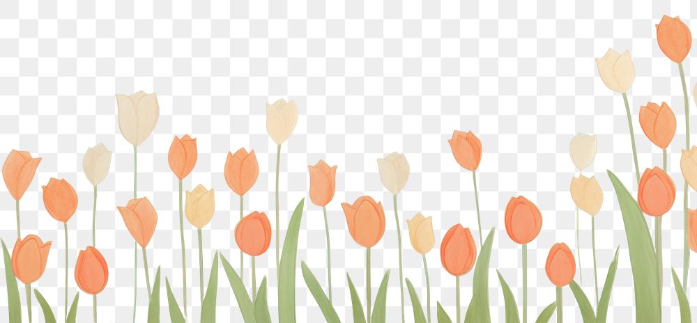 PNG  Tulip background painting backgrounds outdoors. AI generated Image by rawpixel.