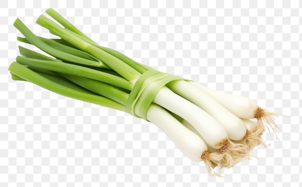 PNG  Spring onion vegetable plant food.