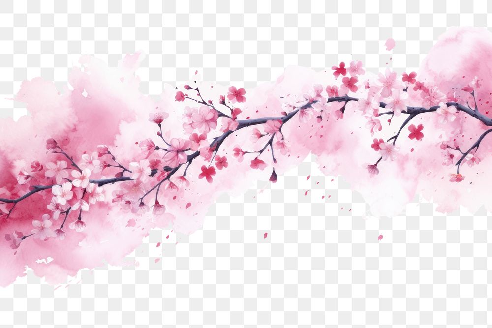 PNG Blossom backgrounds outdoors flower.