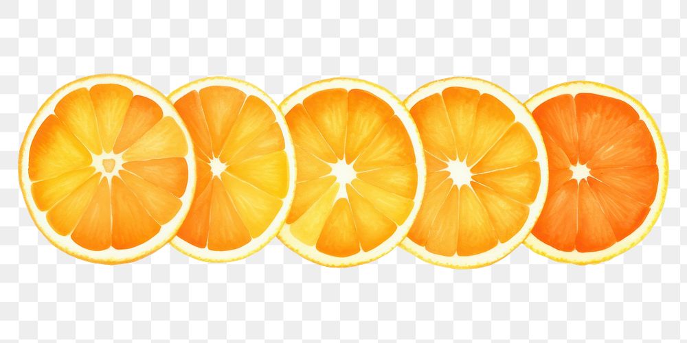 PNG Orange grapefruit orange lemon.