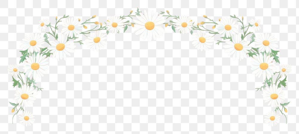 PNG  Daisy border frame backgrounds pattern flower. AI generated Image by rawpixel.