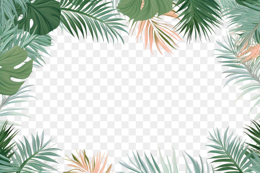 PNG  Palm leaves border frame backgrounds outdoors pattern. AI generated Image by rawpixel.