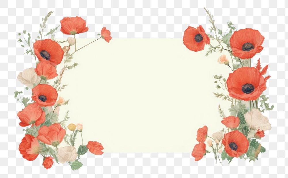 PNG  Poppy border frame flower plant inflorescence. AI generated Image by rawpixel.