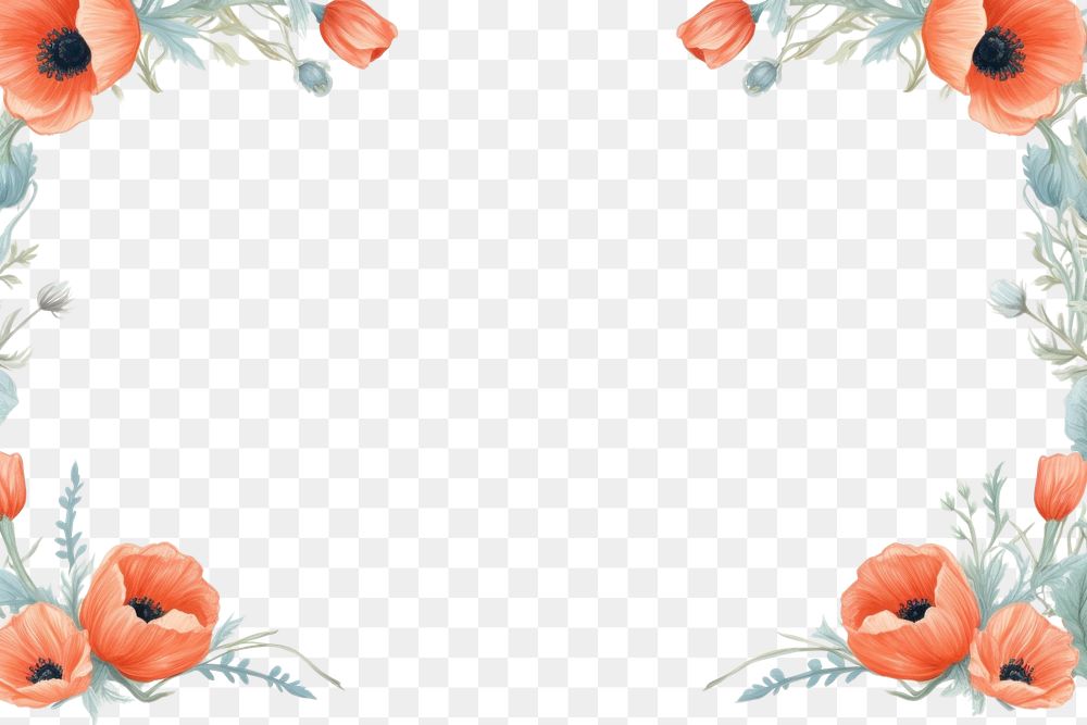 PNG  Poppy border frame backgrounds pattern flower. AI generated Image by rawpixel.