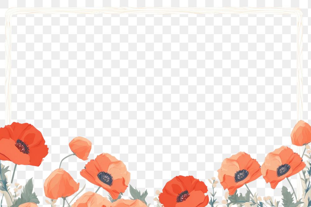 PNG  Poppy border frame backgrounds flower plant. AI generated Image by rawpixel.