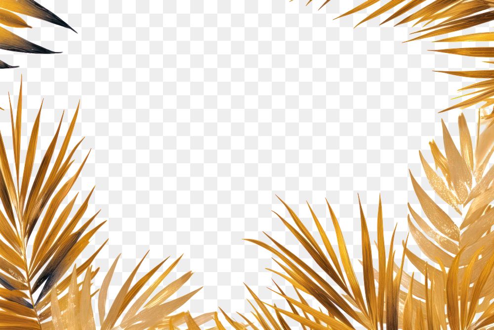 PNG Palm leaf border frame backgrounds sunlight outdoors. AI generated Image by rawpixel.