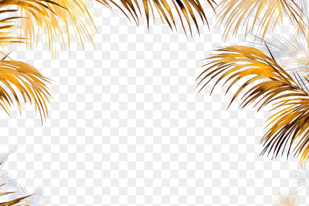 PNG Palm tree border frame backgrounds sunlight outdoors. AI generated Image by rawpixel.