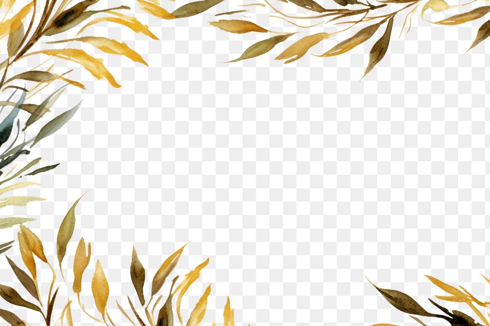 PNG Rosemary border frame backgrounds pattern paper. AI generated Image by rawpixel.