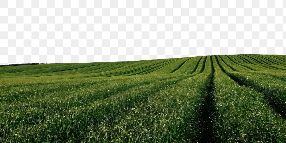 PNG Green field sky outdoors horizon. AI generated Image by rawpixel.