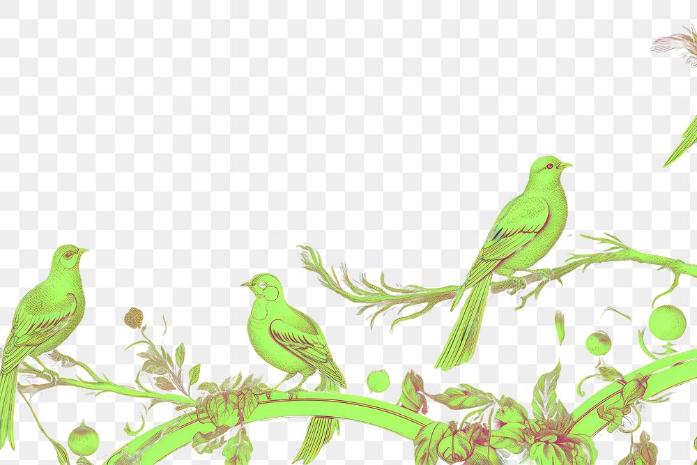 PNG Birds animal purple green.