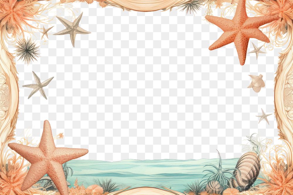 PNG  Toile with Starfish border starfish land invertebrate.