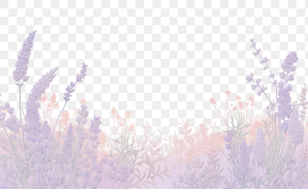 PNG  Lavender backgrounds outdoors nature. AI generated Image by rawpixel.