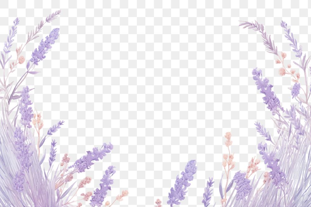 PNG Lavender backgrounds flower purple. 