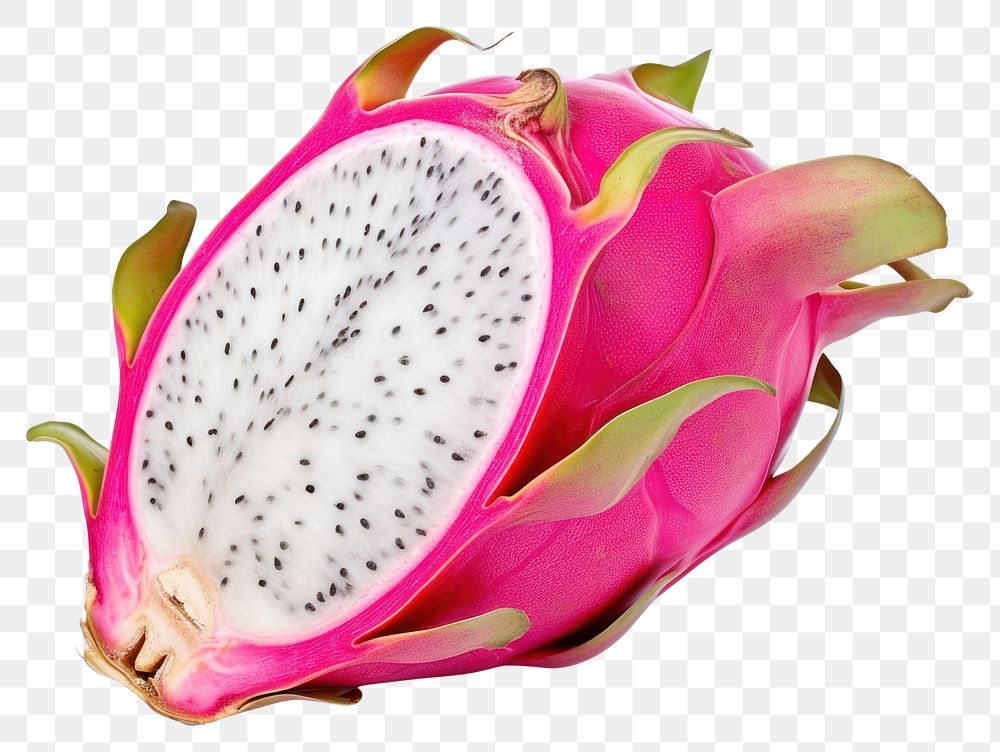 PNG  Dragon fruit plant food white background. AI generated Image by rawpixel.