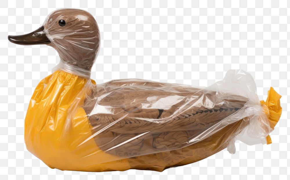 PNG  Plastic wrapping over a duck animal bird poultry.