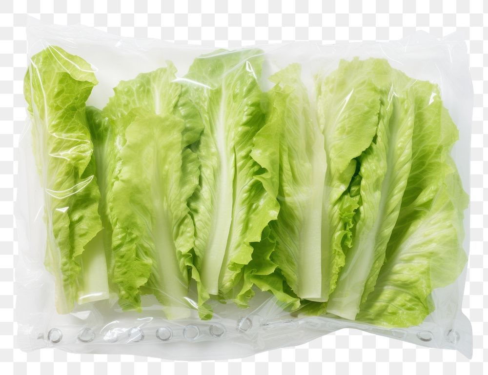 PNG  Plastic wrapping over a lettuce vegetable plant food.
