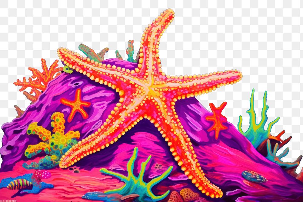 PNG  Starfish outdoors nature marine. AI generated Image by rawpixel.