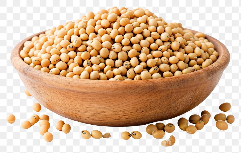 PNG Bowl of soybeans vegetable plant food.