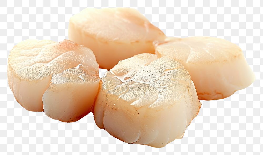 PNG Scallop meat seafood white background freshness