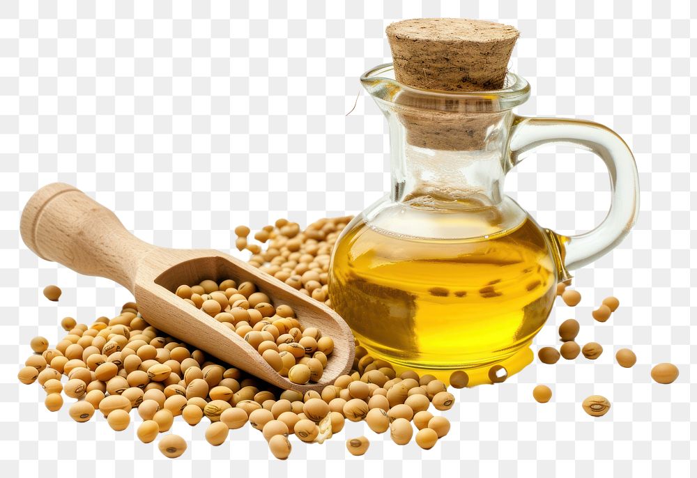 PNG Soybean oil in glass jug with dry soy seeds in scoop on wooden table food white background refreshment.