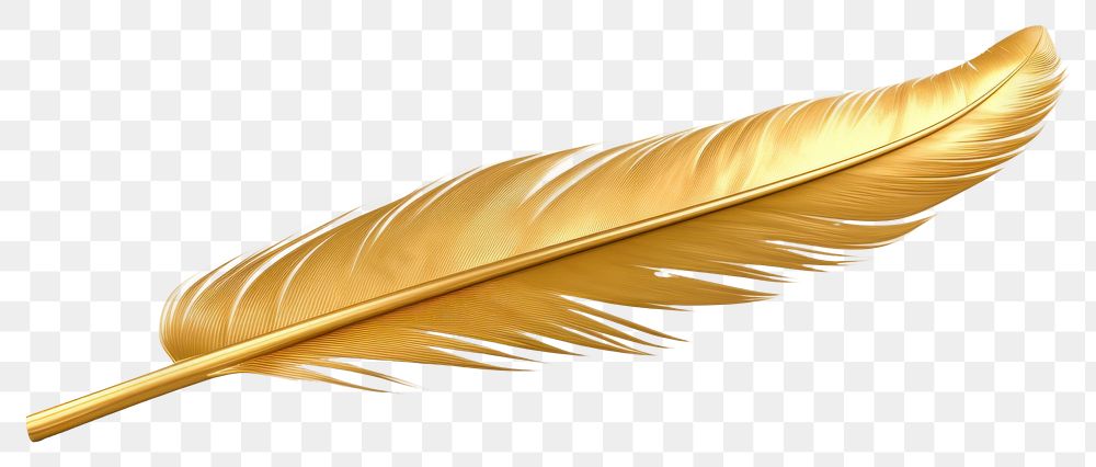 PNG Feather gold white background lightweight.